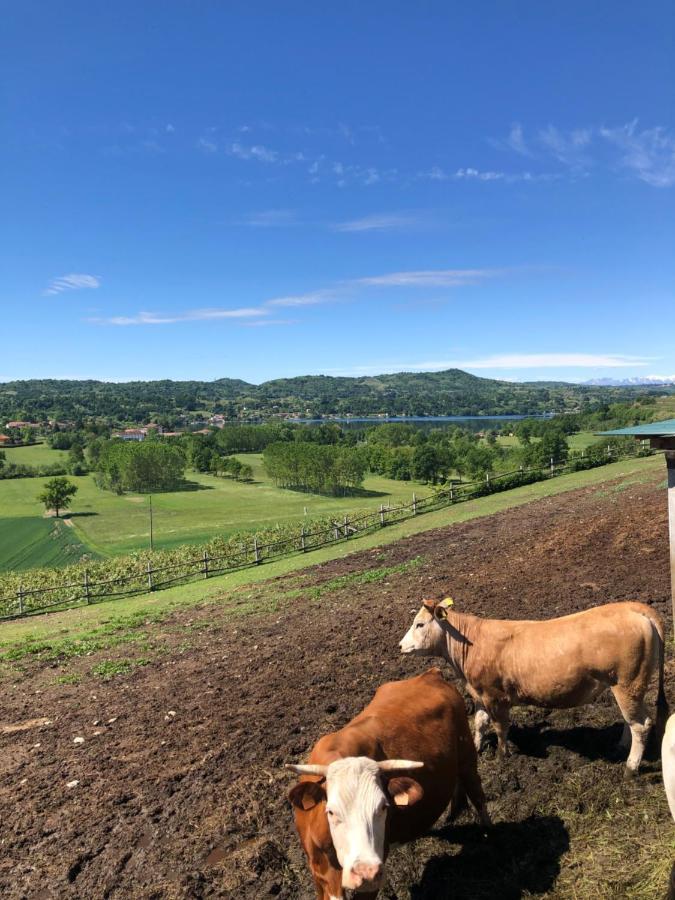 Вилла Cascina Coste Roppolo Экстерьер фото