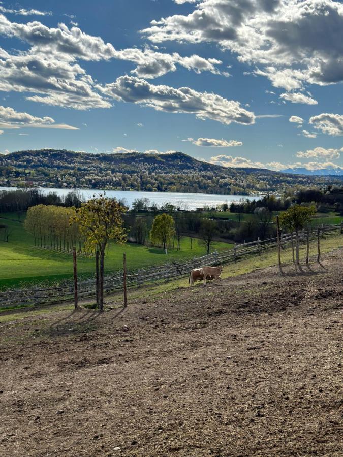 Вилла Cascina Coste Roppolo Экстерьер фото